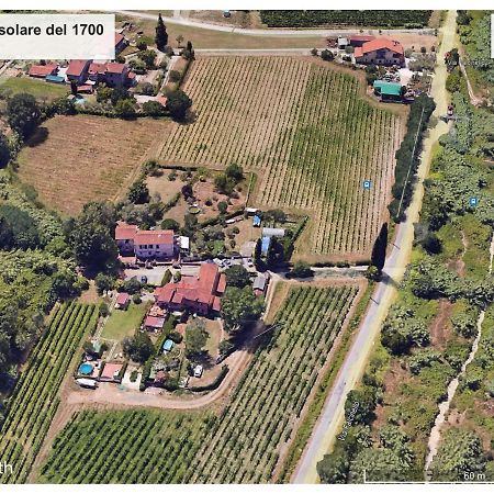 Апартаменты Le Rose , Relax In Casolare Del 1700 Сарцана Экстерьер фото