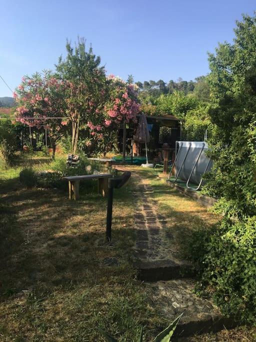 Апартаменты Le Rose , Relax In Casolare Del 1700 Сарцана Экстерьер фото