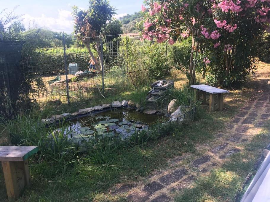 Апартаменты Le Rose , Relax In Casolare Del 1700 Сарцана Экстерьер фото